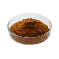 Green Tea Extracts Polyphenols And Catechins Green Tea Extracts Polyphenols Supplier